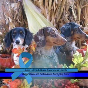 Meet your Posher, Leslie